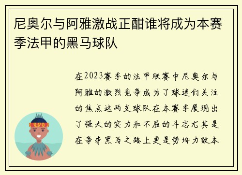 尼奥尔与阿雅激战正酣谁将成为本赛季法甲的黑马球队